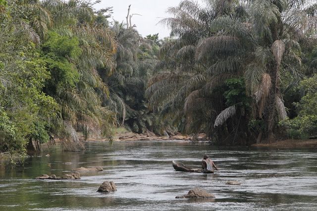 Tiwai Island